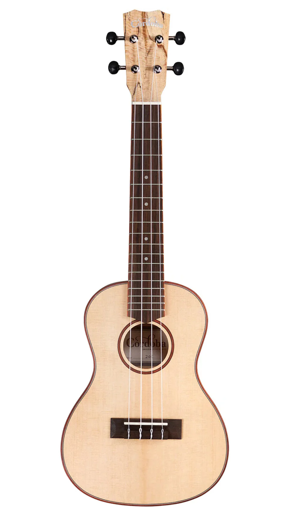 Cordoba 24C Concert Ukulele