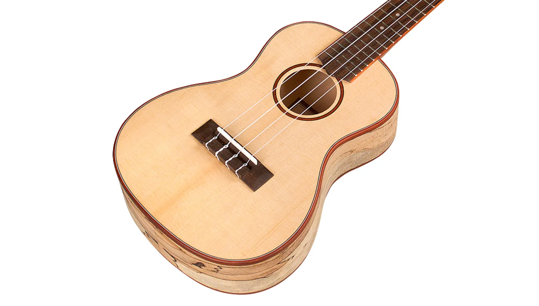 Cordoba 24C Concert Ukulele - Image 4