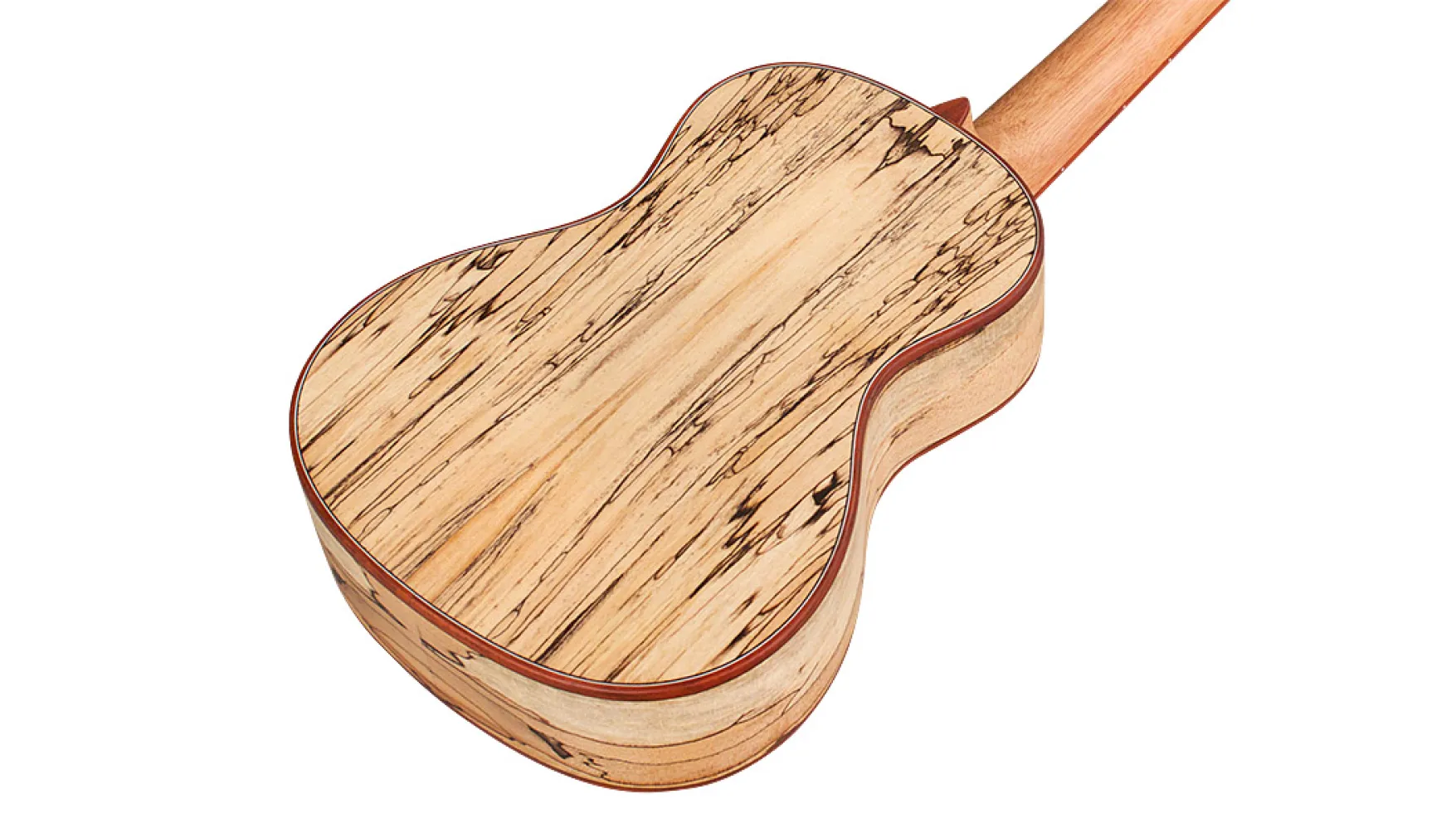 Cordoba 24C Concert Ukulele - Image 5